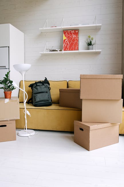 A person placing a stack of five books into a partially open cardboard box, with the person's hands visible holding the books and supporting the box. The books have beige, black, and white covers and are being packed carefully, suggesting a process of packing and moving items during a house relocation. The background is plain white, emphasizing the box and books. The image relates to packing and furniture transport services offered by Man with Van Brent Cross in the context of home removals and logistical preparations for a smooth move, as referenced on the page about bulky item moves on Clitterhouse Road.